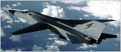 f-111土豚